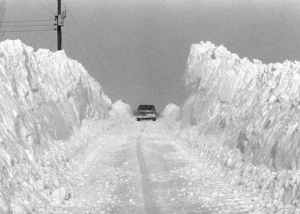 Armstrong Road 1978