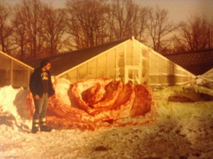 Mark Weaver provided this picture from the Blizzard of 1978. It's a picture of his dad, Mark Weaver, in front of the original Anderson Greenhouses. It's a rose he carved out of the snow. "It took him a couple days to finish." 