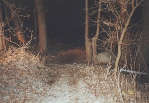The body of Heather Endicott was found rolled in a carpet in the water of a pond behind Center Center in Warsaw on the evening of March 14, 2002 - more than three months after she was reported missing. (Police evidence photo)