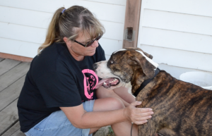 Tracy Landis of S.C.A.R.S. Pit Bull Rescue is shown here with Vader, one of two feral dogs she rescued from a woods near Pierceton in February. (Photo by Stacey Page)