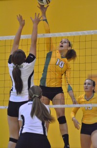 Valley's Caylie Teel goes up and over on Wawasee's front line. Teel had six kills and 20 digs Tuesday night.