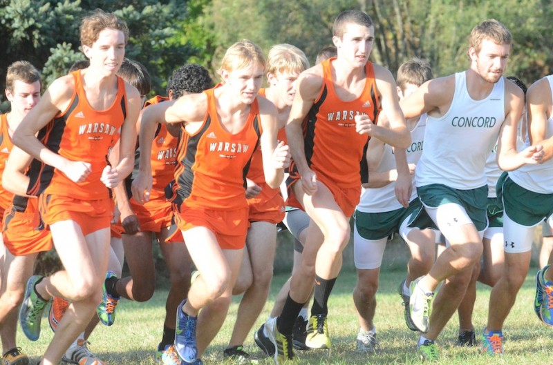 A trio of Warsaw runners take off at the start of the race Tuesday at Ox Bow Park. The No. 13 Tigers topped Concord and Plymouth to finish 7-0 in the NLC for the third straight year (Photos by Scott Davidson)