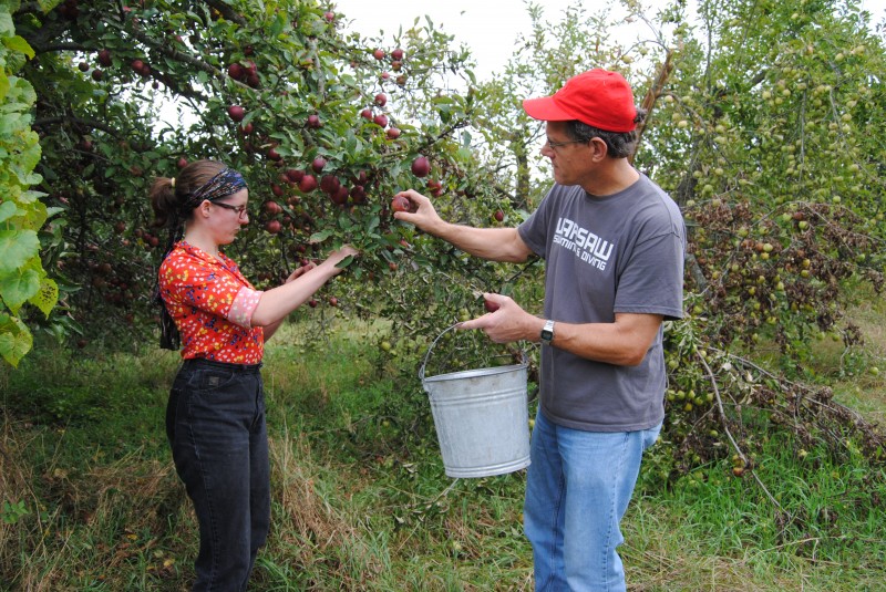 K picking apples 10-2-13pm