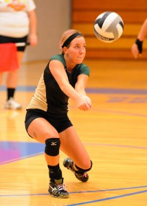 Aly Anderson of Wawasee led all defenders with 43 digs Tuesday night.