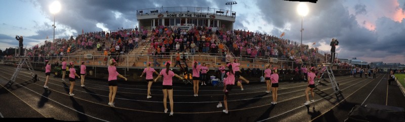 A view of the Warsaw crowd and cheerleaders decked out in pink during the Pink Out Friday night.