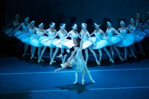 Swan Lake Morris South Bend