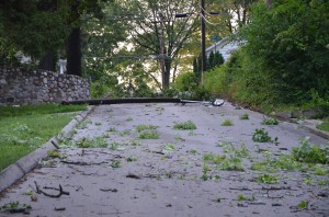 Road were blocked in many areas of the county due to downed tree branches and power lines following this morning's storms. (Photo by Alyssa Richardson) 