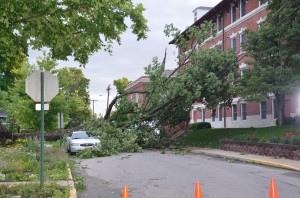 A tree completely blocked  Chestnut Avenue in Winona Lake following this morning's storm but fortunately, did not cause any major damage to the buildings nearby or car parked under it.  (Photo by Alyssa Richardson)