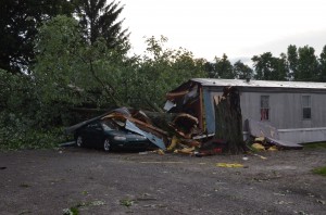 Strong storm winds forced over this tree, tragically taking the life of a 14-year-old boy sleeping within. (Photo by Alyssa Richardson)