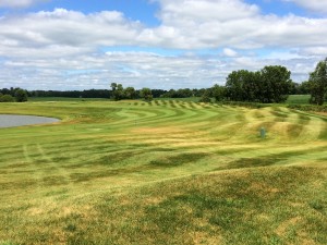 The ninth fairway is vibrant, as is just about the entire course.