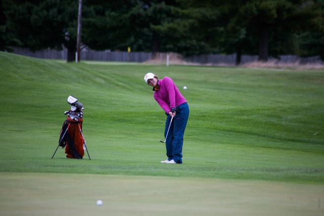 Alexis Manwaring chips on to the green for Warsaw. The senior standout earned medalist honors with a 39 (Photos by Ansel Hygema)