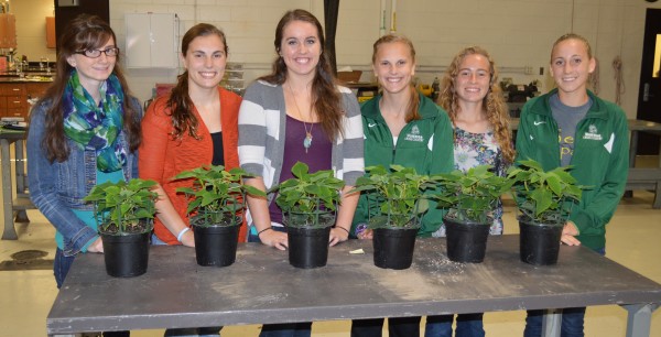 From left are Sophia Nyce, Shelby Swartz, Katie Acton, Molly Swartz, Leeann Estrada and Sarah Harden. They are FFA horticulture judgers for Wawasee High School and will compete nationally Oct. 11 in Kentucky.