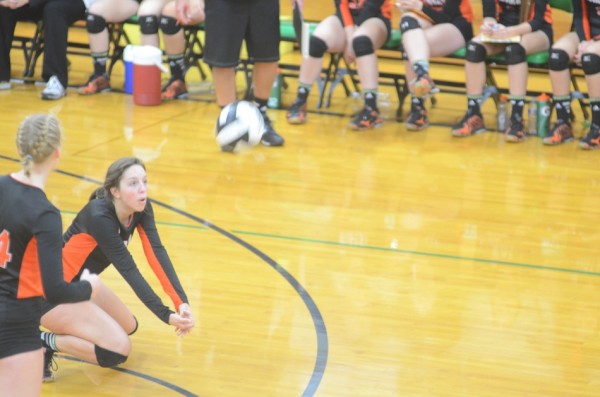 Warsaw senior Celia Heckert makes a pass during sectional action earlier this week. The Tigers lost to host Concord 3-0 in a sectional semifinal match Saturday.