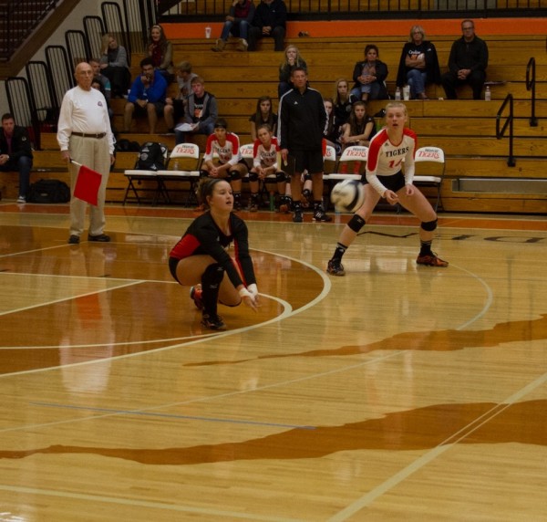 Warsaw libero Peyton Adamiec makes a play Saturday. The Tigers won twice to capture their own tourney title (Photo by Ansel Hygema) 