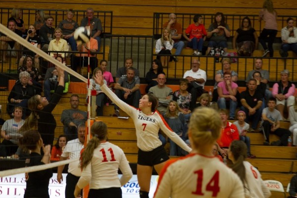 Celia Heckert makes a play at the net for the Tigers Thursday night.