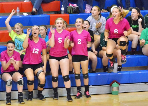 Wawasee's bench goes wild after getting a big point in game three.