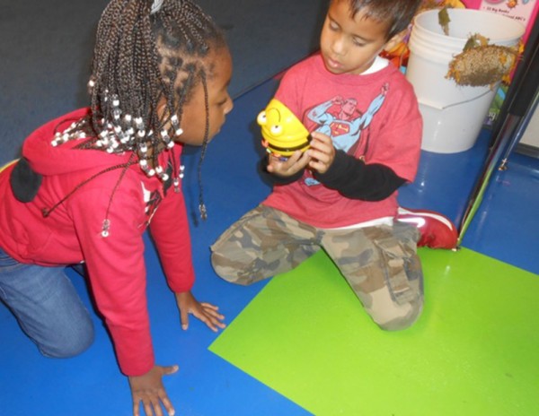 Students at Madison Elementary School program Bee-Bots.