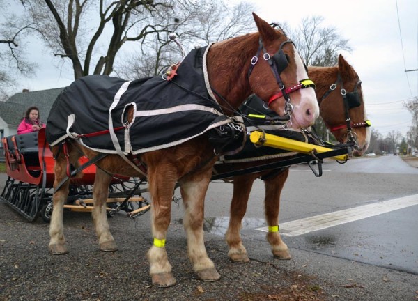 Red and Mack, along with their driver, Steve Cornelius, filled Syracuse streets with the sounds of hooves and sleigh bells. Riders were able to experience a wintertime sleigh ride that many only get to see in movies.