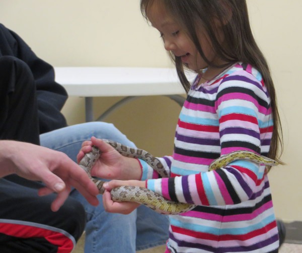 Raily Klinefelter makes friends with Candy Cane the corn snake during last week’s Mark’s Ark Live Animal Show sponsored by the North Webster Community Public Library.