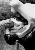 Lion head drinking fountain