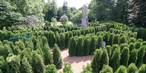 The famous topiary maze at the Charley Creek Gardens. (Photo Provided)