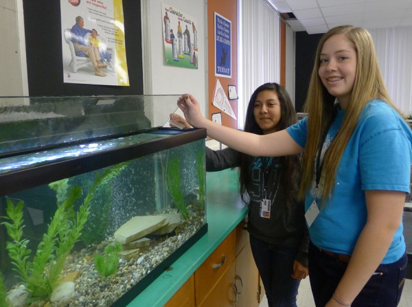 Lakeview students Sarah (right) and Jessica (left) feed the native fish that live in the aquarium in their classroom.