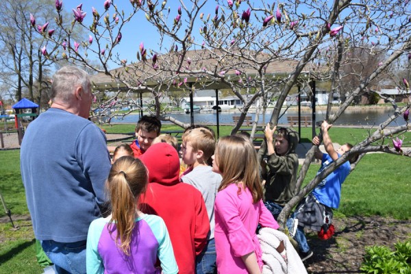 Third-graders spend time with volunteers learning how to identify different trees.