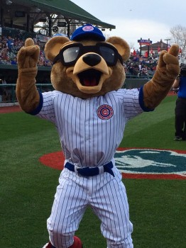 Stu D. Baker made his debut as the South Bend Cubs new mascot. (Photo by Mike Deak)