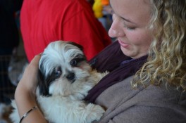 Taste-of-Ag-Kosciusko-County-2015-shelby-dog