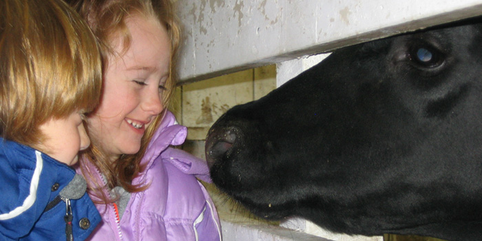 These youngsters get a close look at a calf during last year's Taste Of Ag. (File photo)