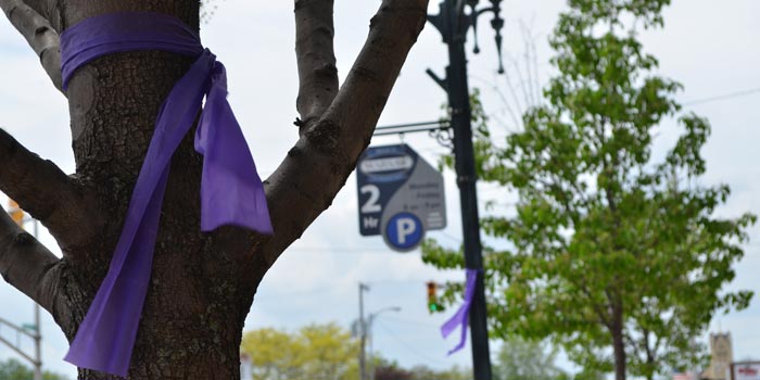 Warsaw-Relay-For-Life-Ribbon