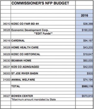 NFP Annual Budgets Breakdown