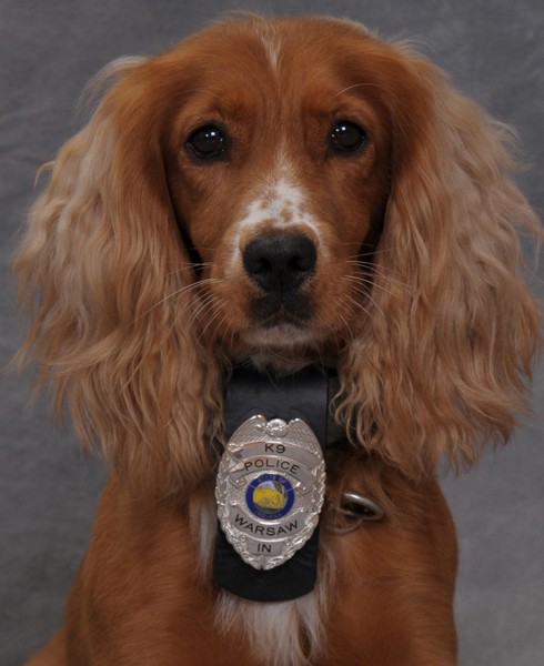 K-9 Bubka joined the Warsaw Police Department in July, becoming the department’s first canine assigned to the narcotics unit.