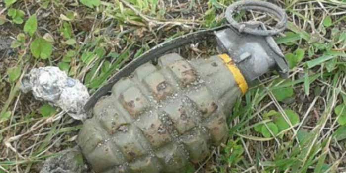 The grenade found on the beach 