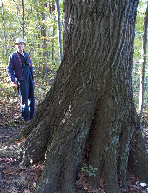 Bob Frantz next to an old red oak in the ACRES preserve.