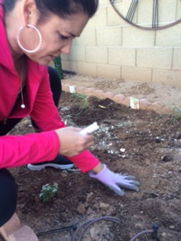 Mary is shown in her garden.