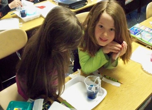 Katie Reichard & Ashlie McAndrews work on an experiment on capillary action in Science class at Triton Elementary School