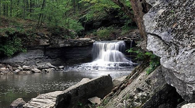 McCormick’s Creek was Indiana’s first state park, notable for its limestone canyon, flowing creek and scenic waterfalls. (Photo by Indiana Department of Natural Resources)