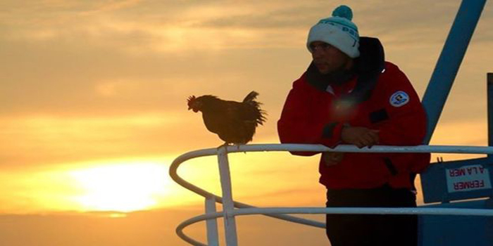 Hen sailing the world