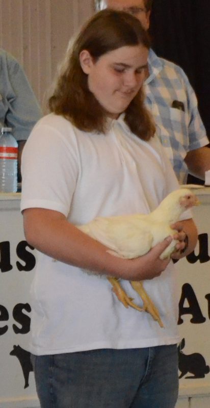Austin Beery holds his chicken during the 4-H Auction Friday at the Kosciusko County Fair.