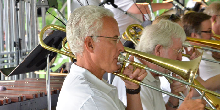 The horn section
