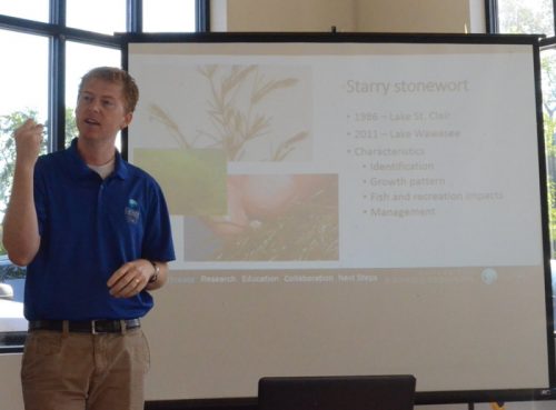 Dr. Nate Bosch explains starry stonewort.
