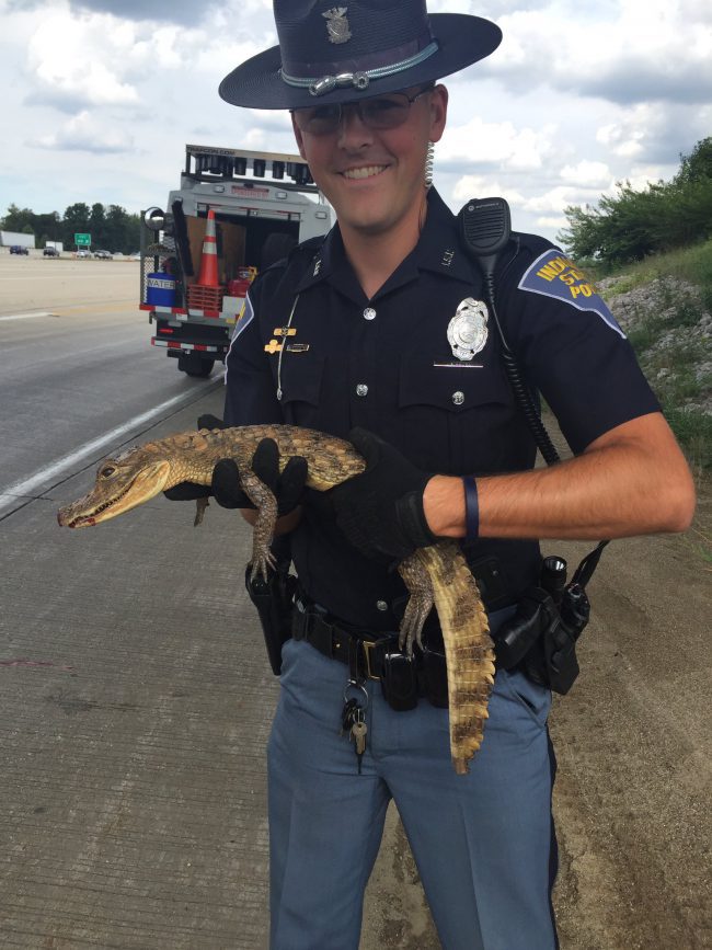 isp-trooper-with-alligator-e1474231583554