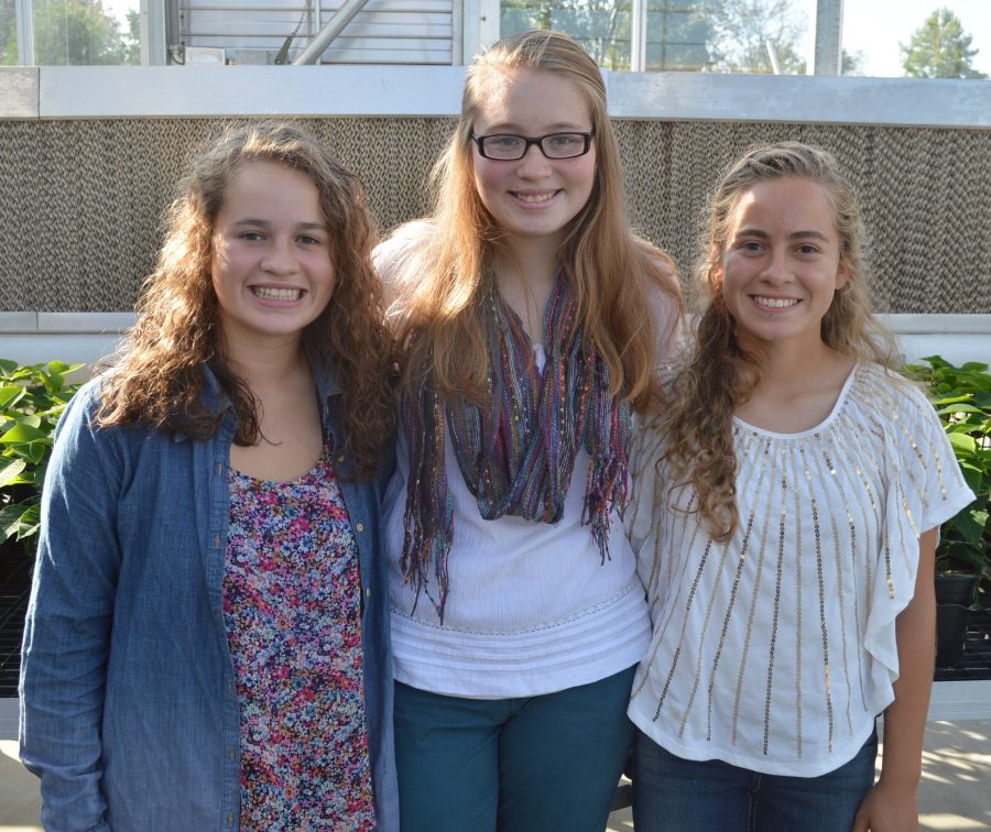 From left are Kayla Estrada, Gynnae Hochstetler and Leeann Estrada. The three Wawasee High School students will be competing at the national horticulture judging contest in Erie, Pa.