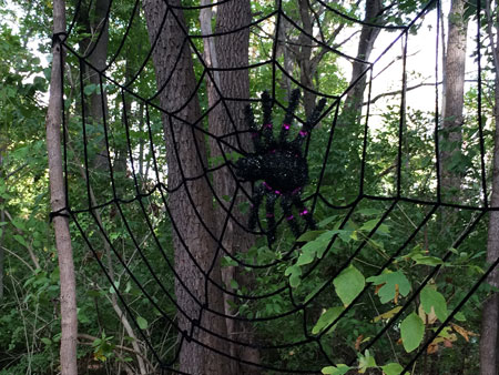 A spooky spider web complete with a giant spider were part of the fall decorations decorating one of the trails at the WACF Falltastic Trail Walk.