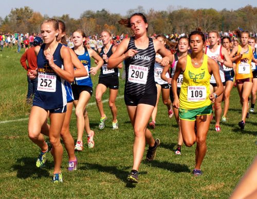 Warsaw senior Charlene Orr (290) works her way between Floyd Central's Faith Barba (109) and Seton Catholic's Jenna Barker (252) as runners approach the halfway point during Saturday's IHSAA girls state cross country finals at Terre Haute.