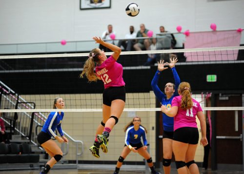 Wawasee's Olivia Clouse loads up for a kill attempt against Triton.