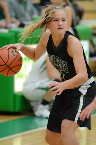 Kabrea Rostochak looks to make a move for Wawasee Tuesday night versus Northridge.