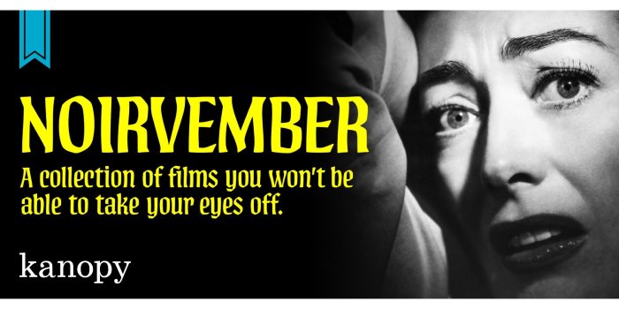 Warsaw Community Public Library – Cut Costs, Keep Streaming