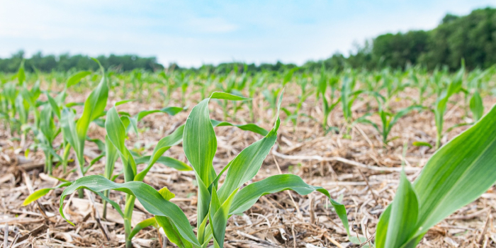 Brazil Company Launches Sustainable Ag Program In Lafayette